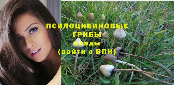 spice Армянск