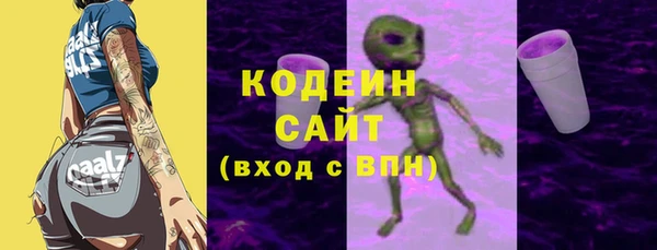 гидра Арсеньев