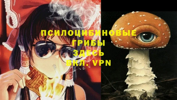 круглые Аркадак