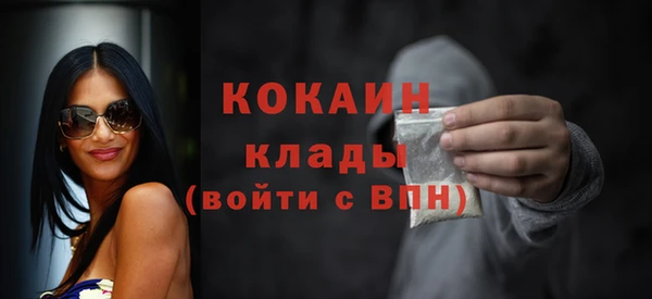 гидра Арсеньев