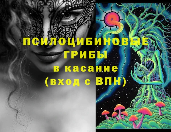 гидра Арсеньев