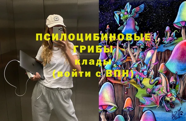 spice Армянск