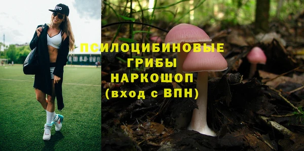 круглые Аркадак