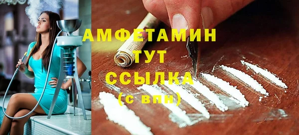 гидра Арсеньев