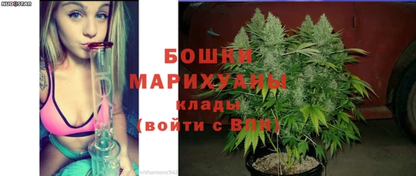 гидра Арсеньев